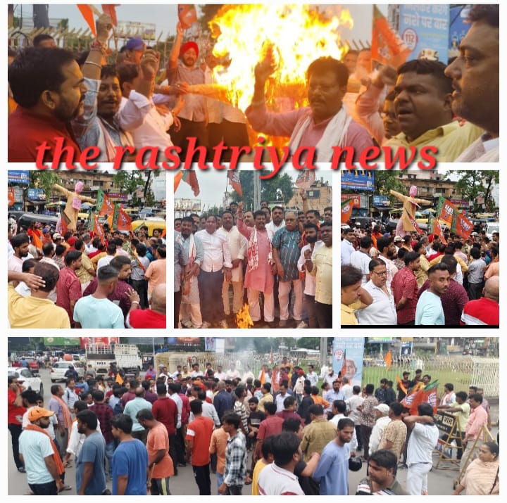 बीजेपी के वरिष्ठ नेता अभय सिंह ने विपक्ष के नेता राहुल गांधी के द्वारा लोकसभा में हिंदुओं को हिंसक प्रवृत्ति बताने का ,किया पुुरजोर विरोध।