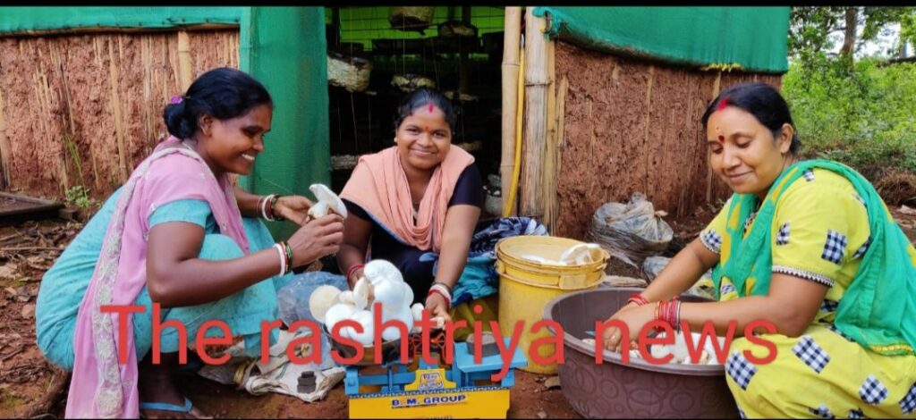 गुवा के नुईया गांव व बरायबुरु गांव में मशरूम का उत्पादन कर आत्मनिर्भर बन रही महिलाएं।