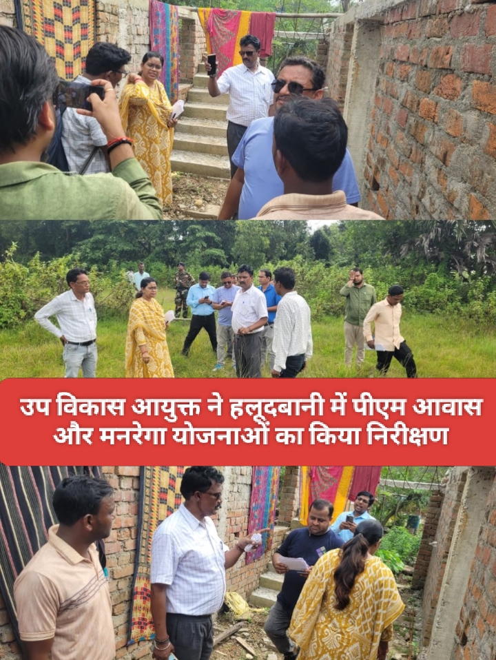 उप विकास आयुक्त ने हलूदबानी में पीएम आवास और मनरेगा योजनाओं का किया निरीक्षण।