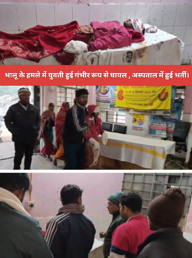 भालू के हमले में युवती हुई गंभीर रूप से घायल , अस्पताल में हुई भर्ती।