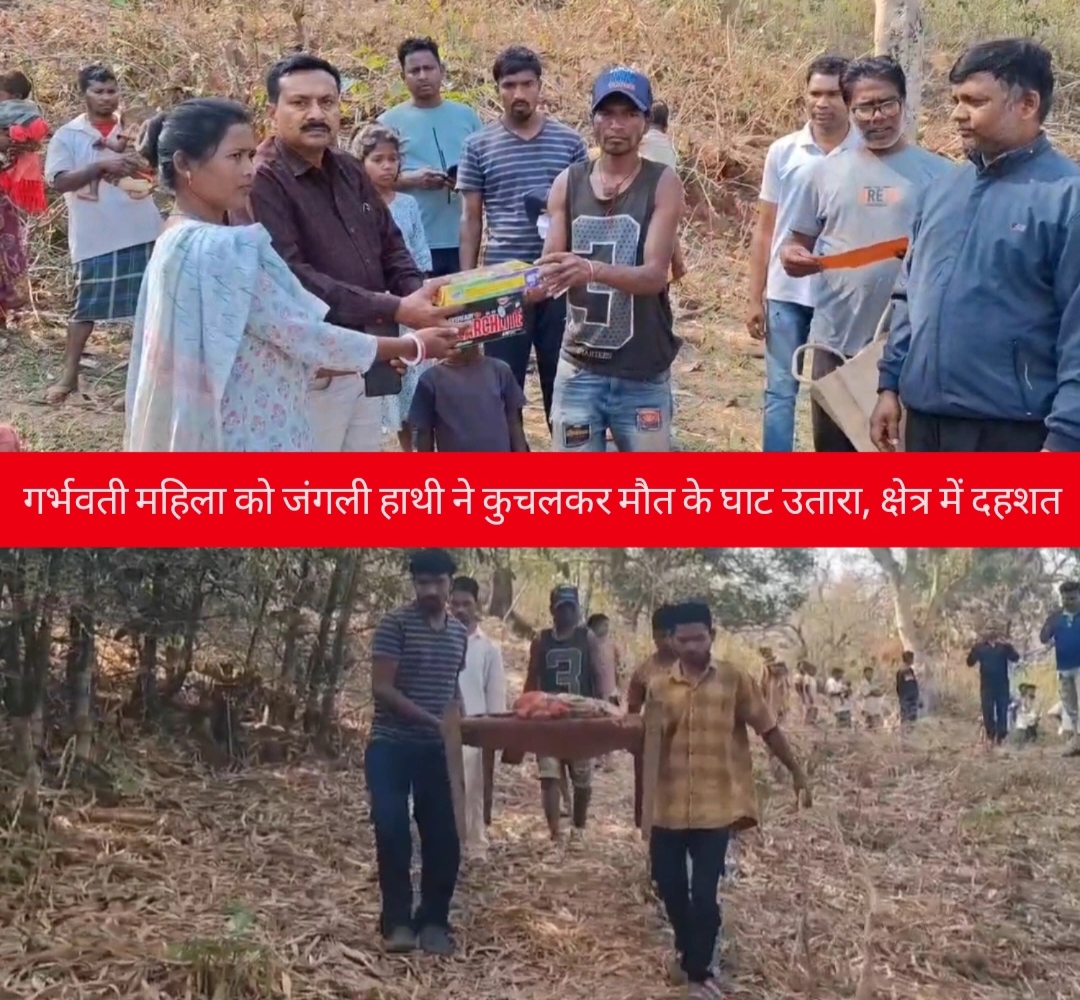 गर्भवती महिला को जंगली हाथी ने कुचलकर मौत के घाट उतारा, क्षेत्र में दहशत