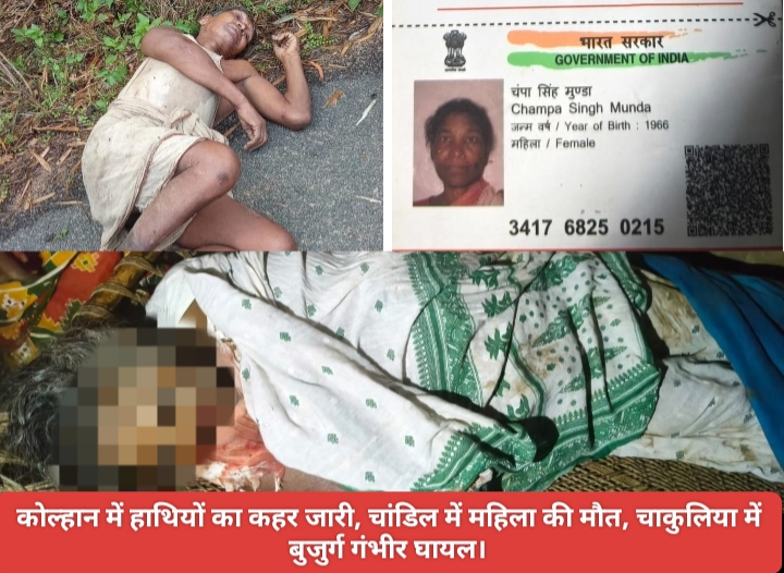 कोल्हान में हाथियों का कहर जारी, चांडिल में महिला की हुई मौत, चाकुलिया में बुजुर्ग गंभीर रूप से घायल।