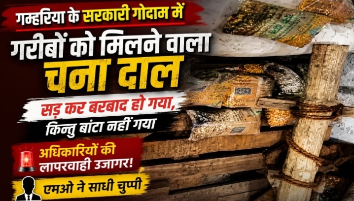 गम्हरिया के सरकारी गोदाम में गरीबों को मिलने वाला चना दाल सड़ कर बर्वाद हो गया, किन्तु बांटा नहीं गया, अधिकारियों की लापरवाही उजागर, एमओ ने साधी चुप्पी।